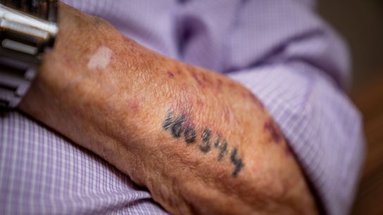 The tattoo on the arm of Holocaust survivor David Wolnerman should serve as a reminder to UFC fighter Bryce Mitchell that in no way was Nazi leader Adolf Hitler a 'good guy.' The tattoo on the arm of Holocaust survivor David Wolnerman should serve as a reminder to UFC fighter Bryce Mitchell that in no way was Nazi leader Adolf Hitler a 'good guy.'